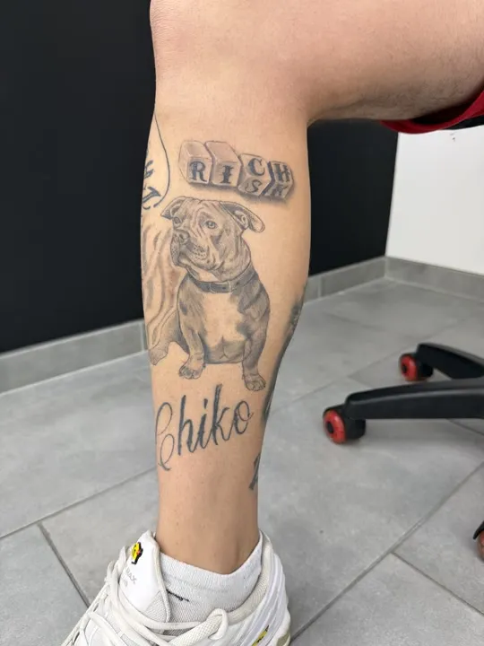 Bulldogge Chiko mit Würfeln und Schriftzug, Black and Grey Tattoo auf der Wade, verheilt
