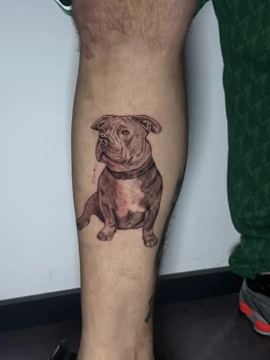 Hundeporträt, Black and Grey Tattoo auf der Wade